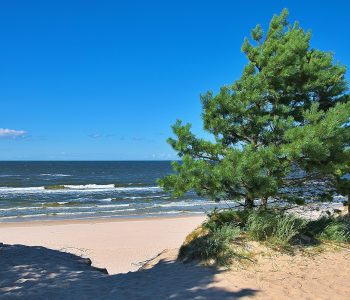 Bałtyk jest naj! Co kryje Morze Bałtyckie?