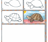 Jak narysować żółwia