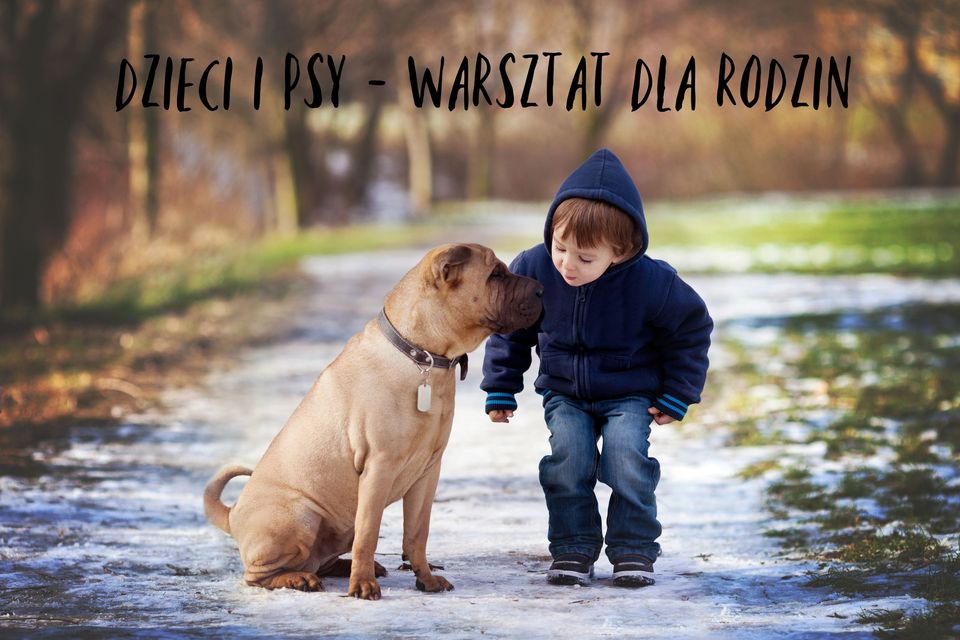 Przystań Warszawa w samo południe - Dzieci i psy. Warsztaty