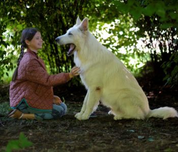 Zobacz zwiastun filmu O psie, który jeździł koleją. Tylko w kinach od 25 sierpnia!