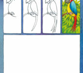 Jak narysować papugę