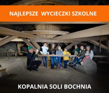 Wycieczki szkolne do Kopalni Soli Bochnia