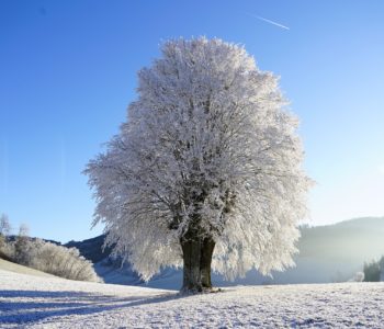 Za ośnieżonym wzgórzem – Baśnie zimowe