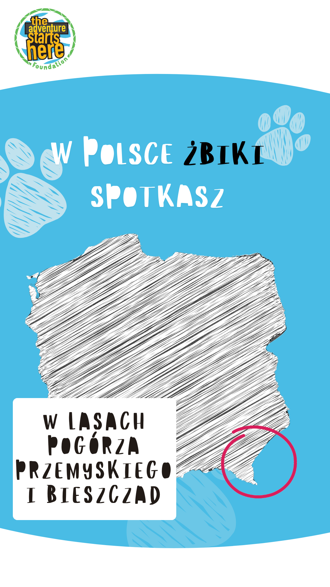 Luty miesiącem żbika w Polsce