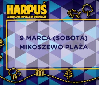 Harpuś – z mapą na mikoszewską plażę!