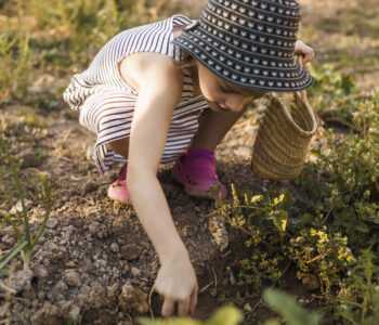 Czym jest gleba? Materiały edukacyjne dla dzieci