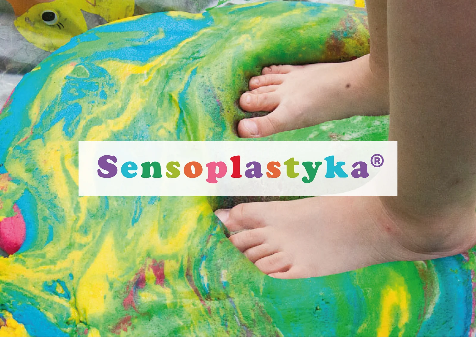 Sensoplastyka dla dzieci w wieku 0,5 roku do 4 lat w Przedszkolu Montessori
