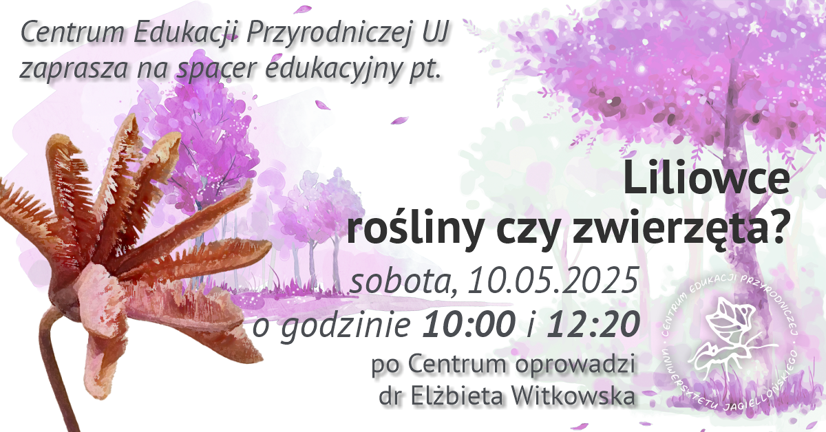 Liliowce – rośliny czy zwierzęta? - spacer edukacyjny