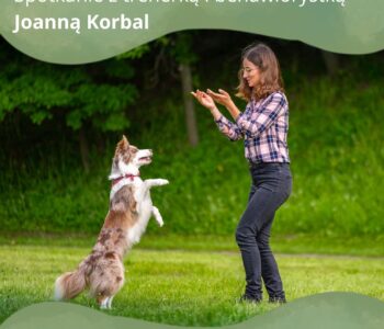 Czy mogę pogłaskać psa? – spotkanie z trenerką psów Joanną Korbal