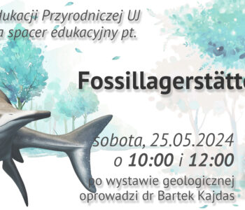 Fossillagerstätten - spacer edukacyjny