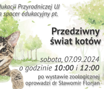 Przedziwny świat kotów