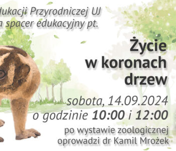 Życie w koronach drzew