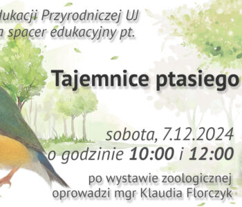 Tajemnice ptasiego świata