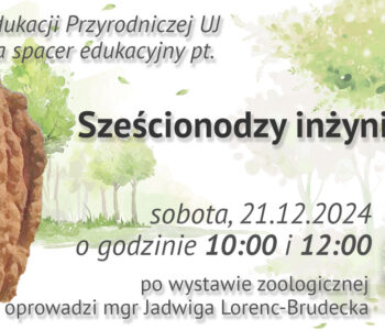 Sześcionodzy inżynierowie - spacer edukacyjny