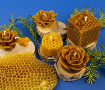 Miodem pachnące – warsztaty robienia świec z wosku pszczelego. Bytom