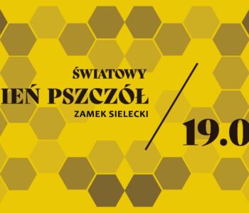 Światowy Dzień Pszczół - warsztaty w ramach Weekendowej Akademii Rodzinnej. Sosnowiec