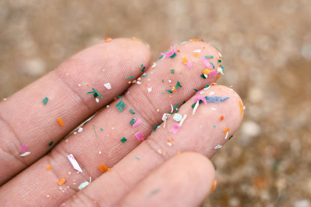 Jak bardzo szkodzi nam mikroplastik? Wykład dla młodzieży