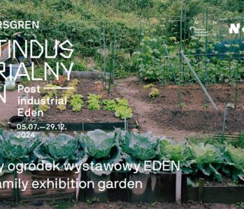 Rodzinny Ogródek Wystawowy EDEN: Warsztaty z budowania donic