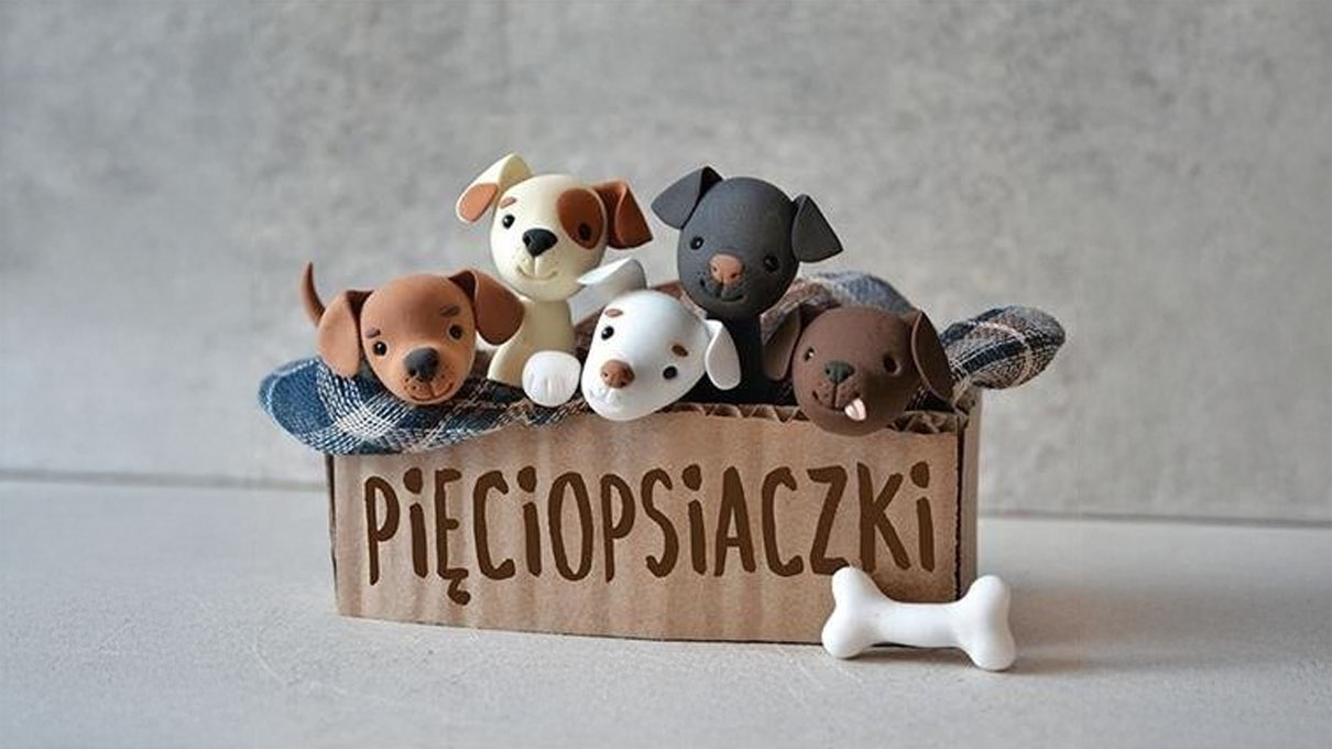 Pięciopsiaczki quiz wiedzy