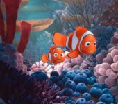 Gdzie jest Nemo quiz