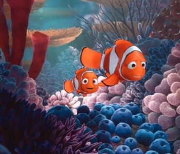 Gdzie jest Nemo – quiz