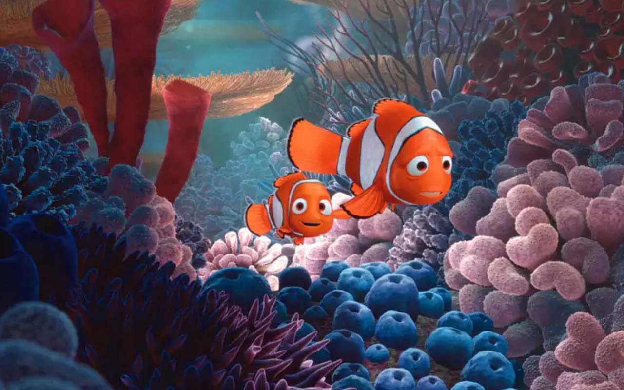 Gdzie jest Nemo quiz