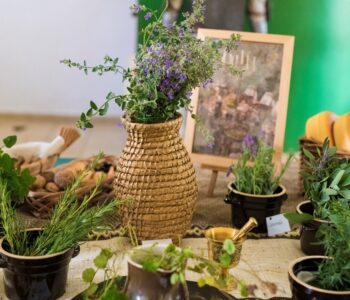 Wieliczka: Festiwal Kultury bez Barier w Muzeum Żup Krakowskich