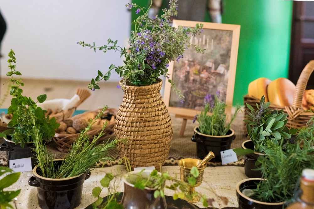 Wieliczka: Festiwal Kultury bez Barier w Muzeum Żup Krakowskich