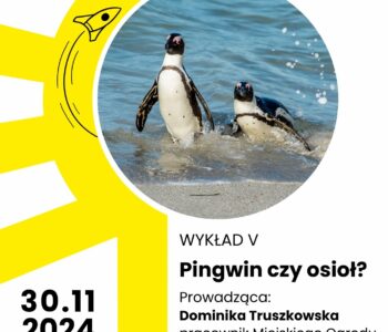 Bródnowski Uniwersytet Dzieci: Pingwin czy osioł?