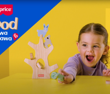 Fisher-Price® Wood