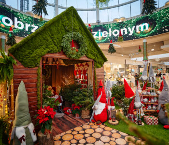 Świąteczna Wioska Gnomów w Centrum Janki