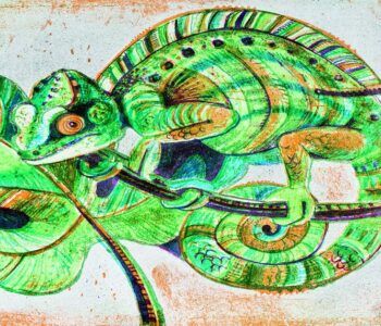 Pałac Królewski we Wrocławiu zaprasza. Do ZOO, do teatru, a może w góry? Czas wolny w dawnym Wrocławiu