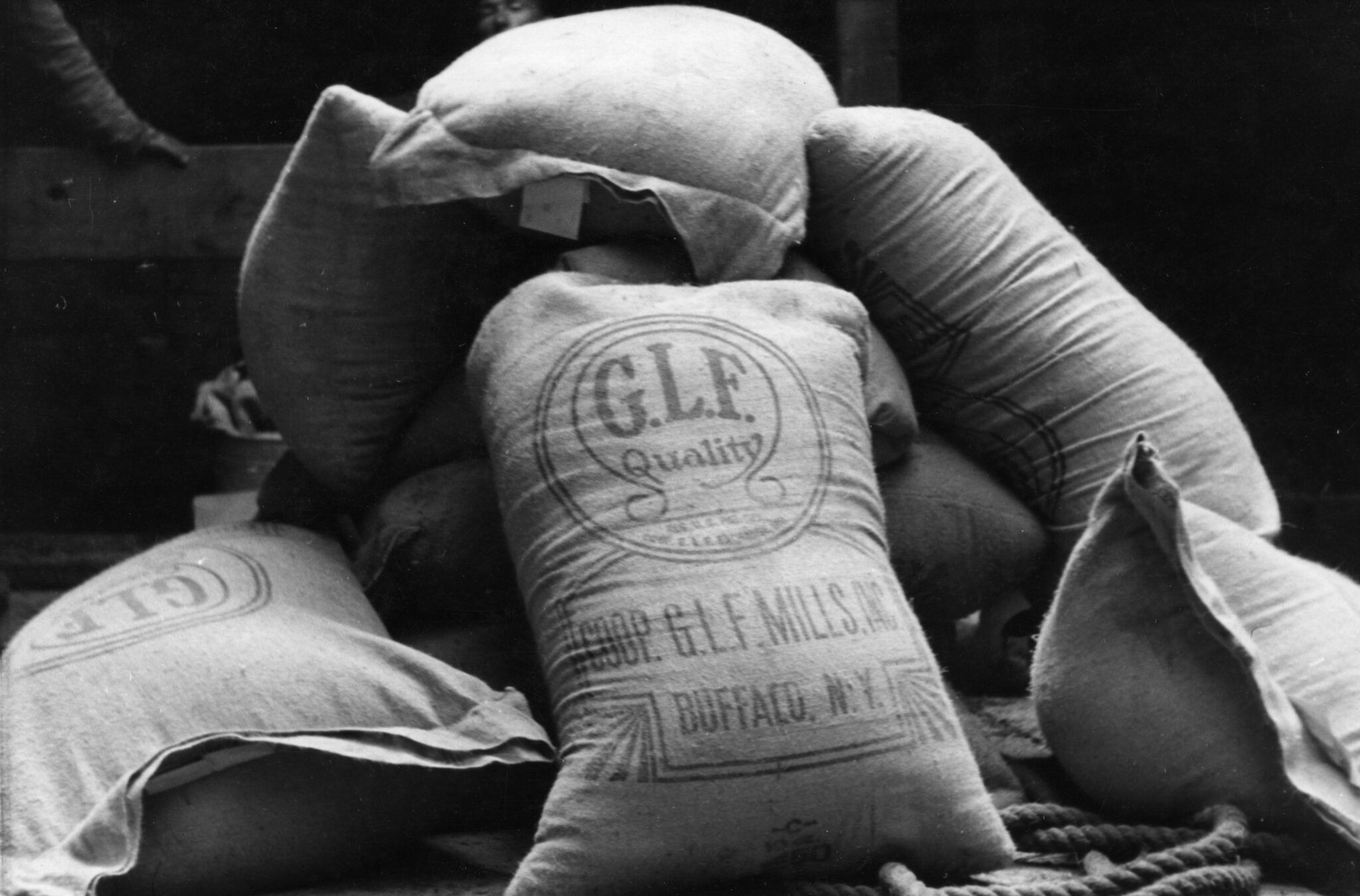 Ferie w muzeum: Ziarnko do ziarnka – warsztaty z tworzenia nietypowej mozaiki