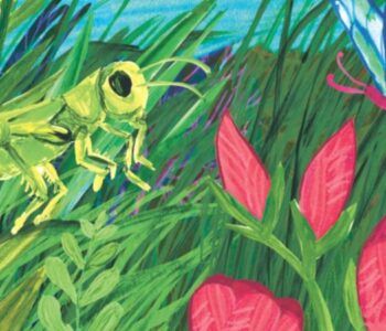 Jesteś cudem! Spektakl teatralny