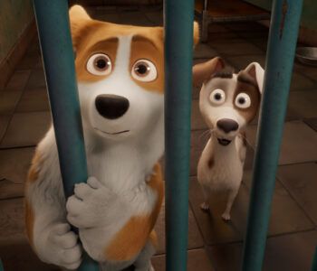 Corgi. Psiak królowej – film z cyklu Dziecięca Frajda. Chorzów