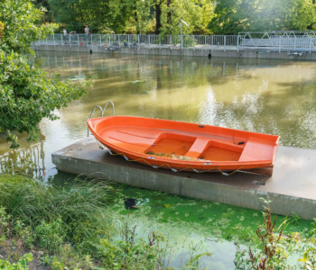 Sprzątamy Rzeki Wrocławia