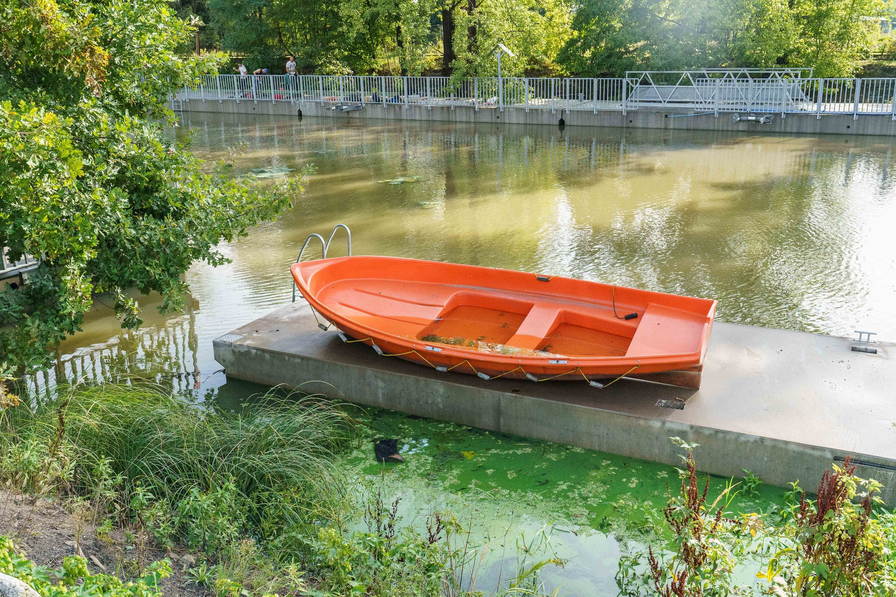 sprzątamy rzeki Wrocławia