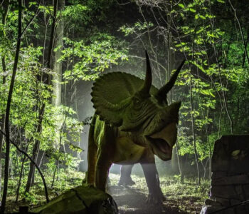 Majówka w Zatorlandzie z wieczornymi atrakcjami. Czas na "Dinozaury po zmroku