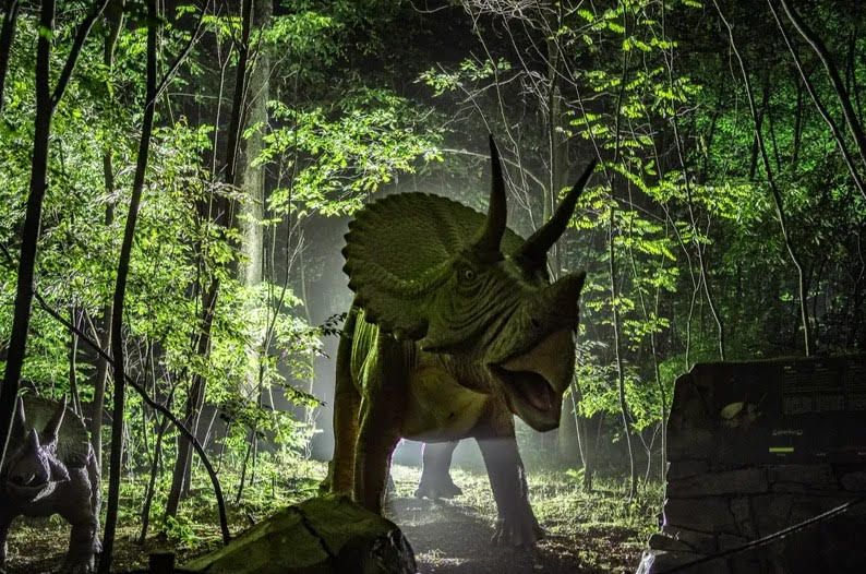 Majówka w Zatorlandzie z wieczornymi atrakcjami. Czas na "Dinozaury po zmroku