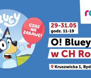 CH Rondo_Bluey