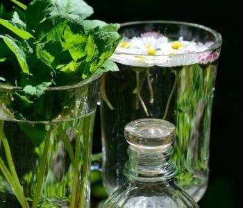 Dzika majówka. Spacer botaniczny nad Wisłą