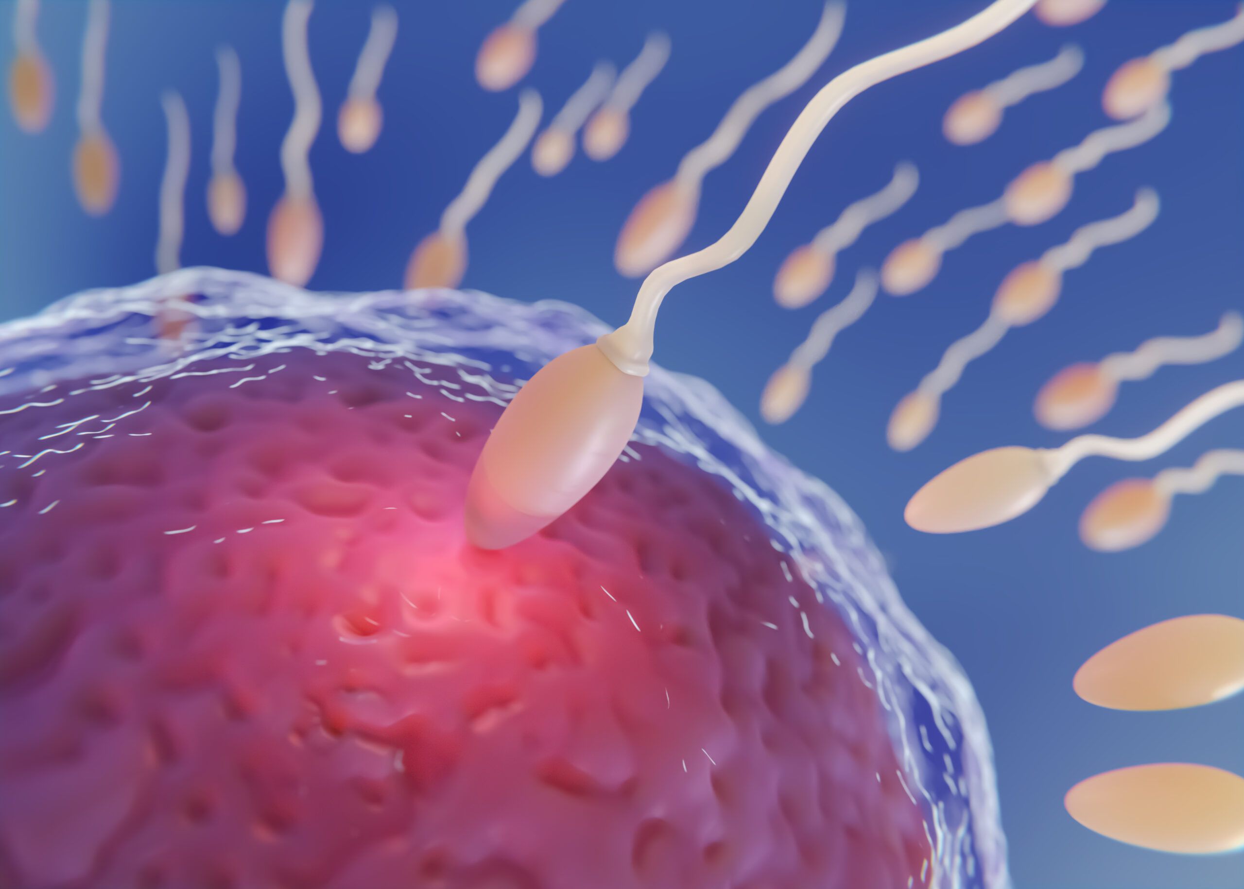 in vitro