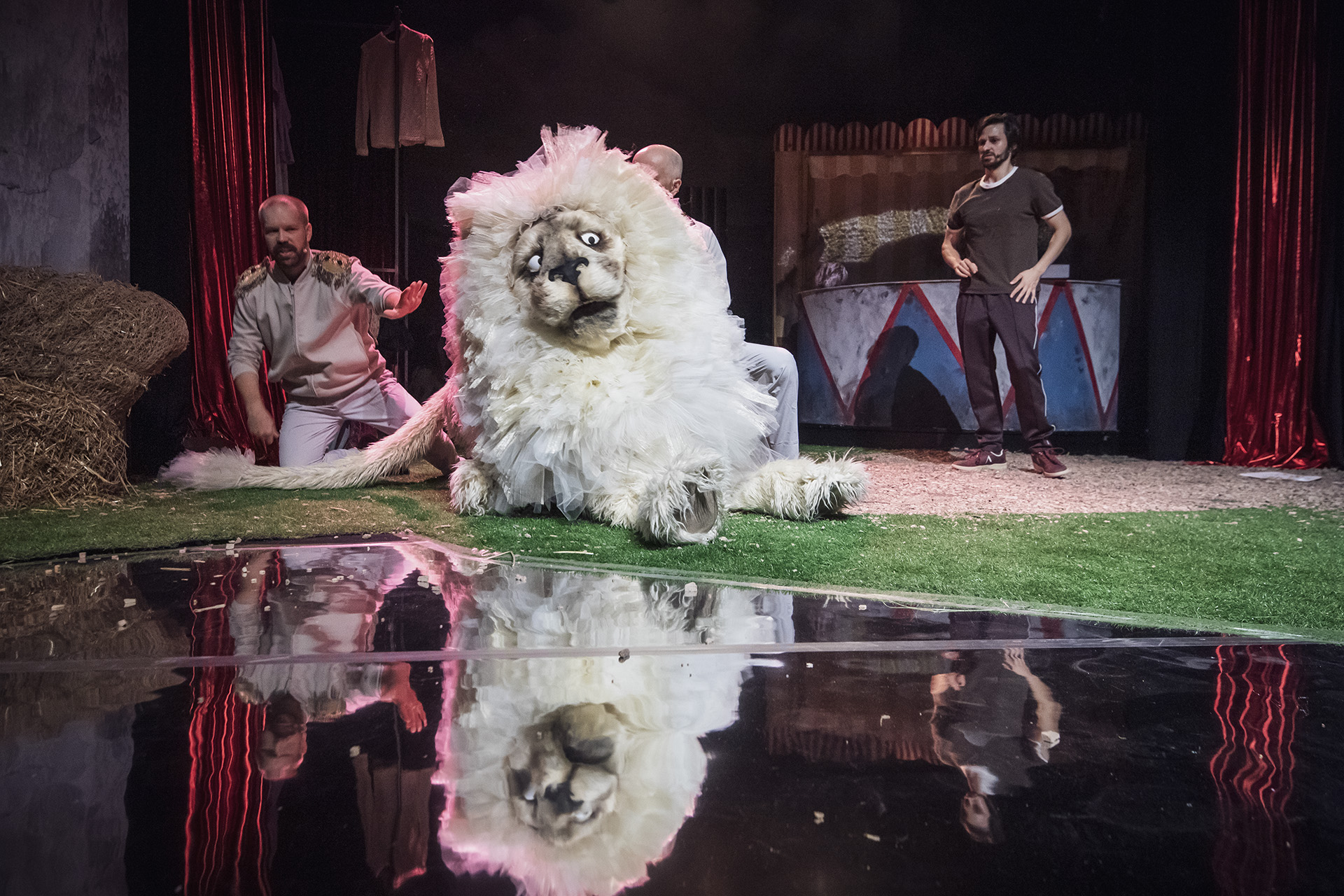 Tarabumba! Ale Cyrk… w Teatrze Groteska