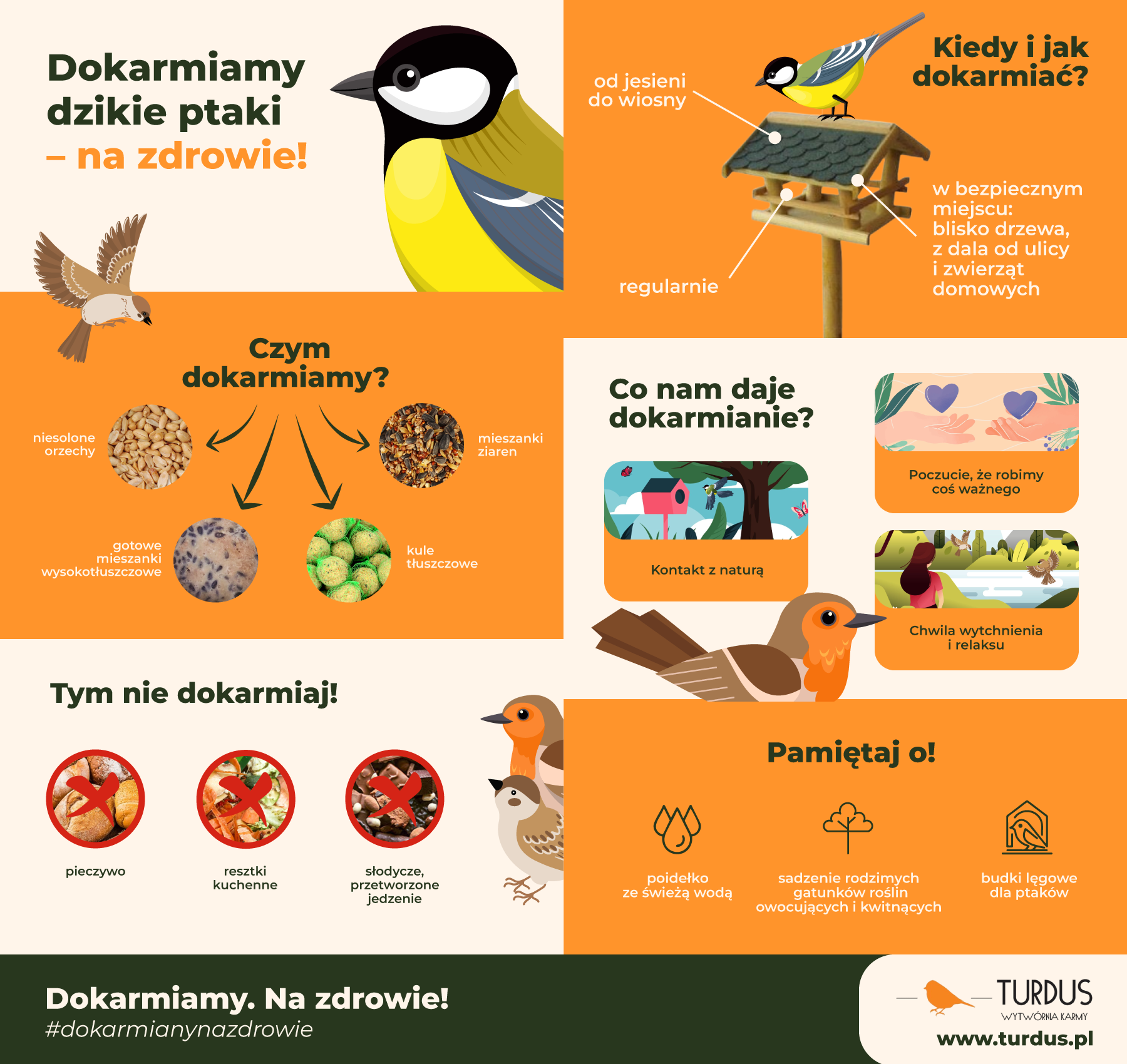 Ponad połowa Polaków dokarmia ptaki. Kampania Dokarmiamy. Na zdrowie! edukuje, jak robić to właściwie 