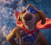 Super pies i kot łotr