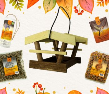 Wygraj karmnik i zestaw pokarmów dla dzikich zwierząt! Konkurs z marką TURDUS