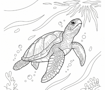 Żółw morski ku słońcu