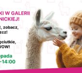 Strefa Kultury Wrocław zaprasza do Firleja – Firlej dzieciom. Włoszczyzna