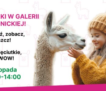 Alpaki zawitają do Galerii Świdnickiej