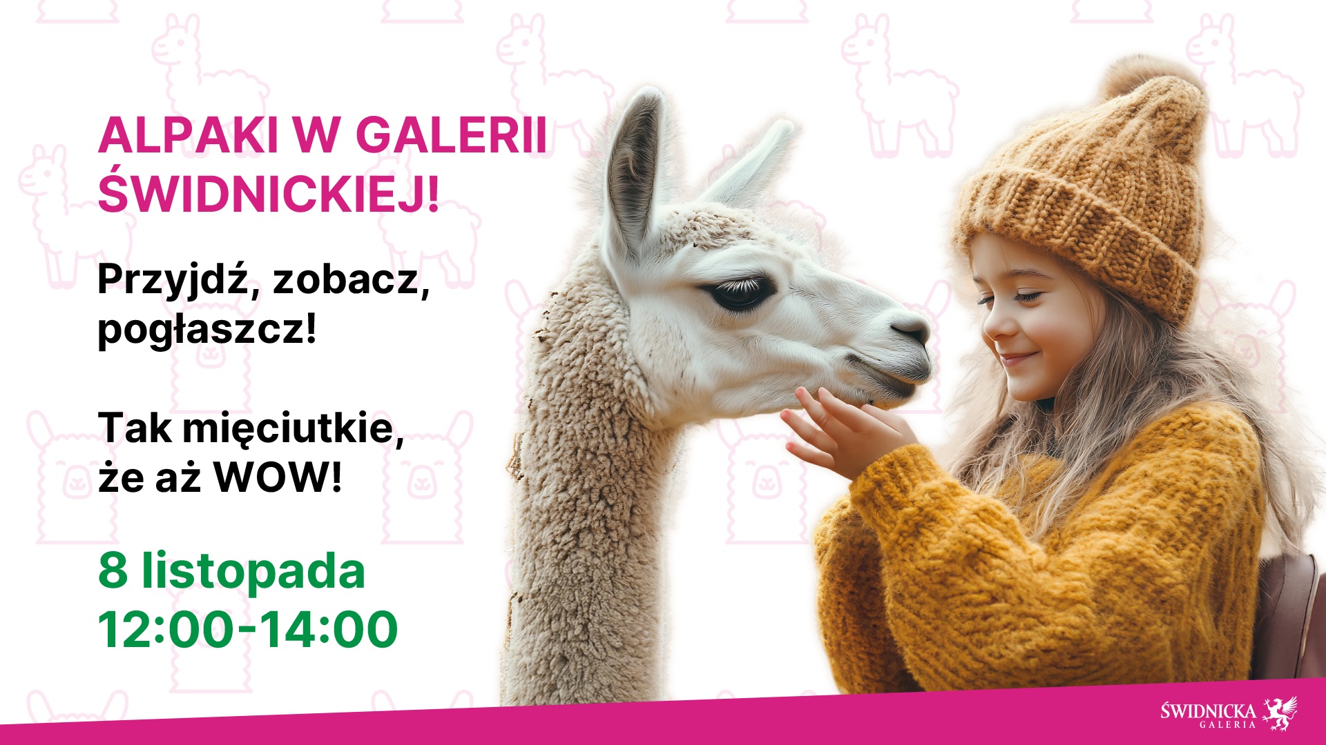 Alpaki zawitają do Galerii Świdnickiej